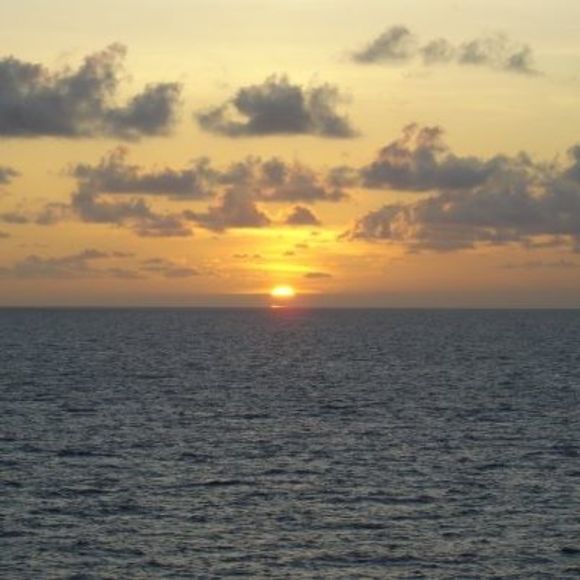 Meet your Posher, Maritza - Picture 1 of 1